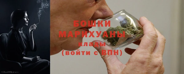дживик Белокуриха